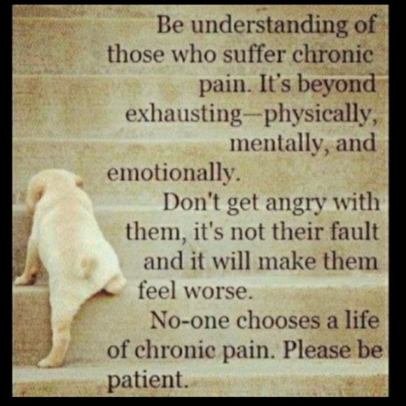 Talbots Canary YELLOW Capris NWOT Sz 4 Petite - Picture 4 of 15